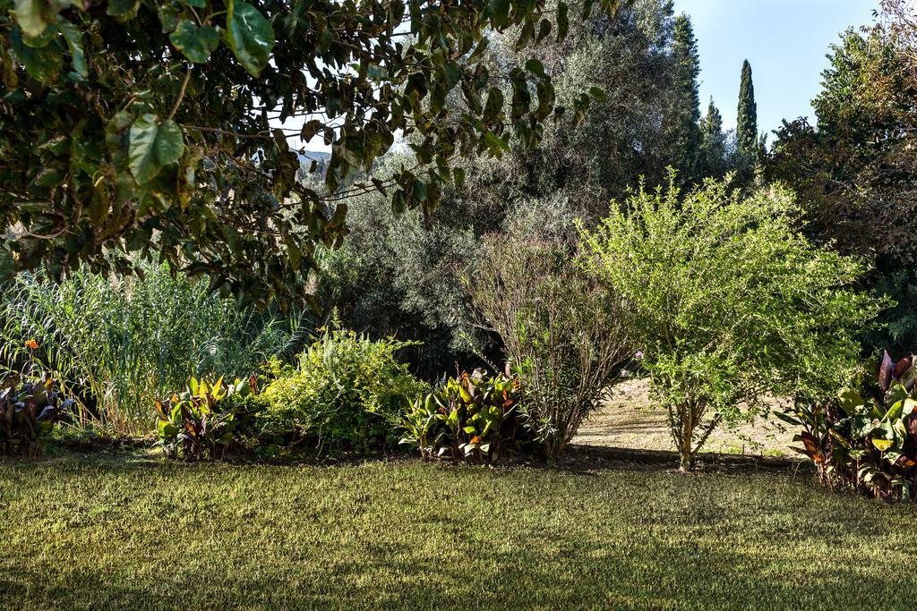 Zen Stone House Villa Agios Georgios Pagon Rom bilde